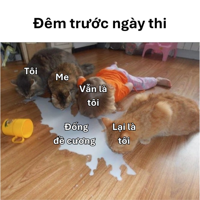 101+ meme chúc thi tốt hài hước cực chất cho sĩ tử 2k7